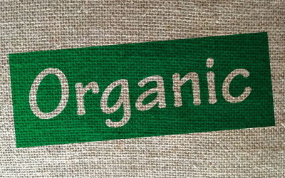 Agriculture biologique en plein essor grâce aux innovations durables