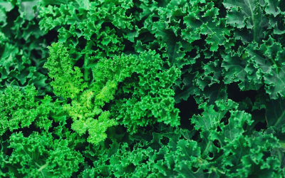 Bio en France : essor inédit, innovations et défis majeurs