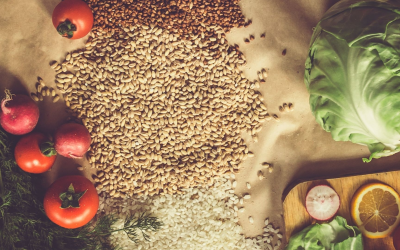 Agriculture biologique franchit un cap historique d’innovation durable